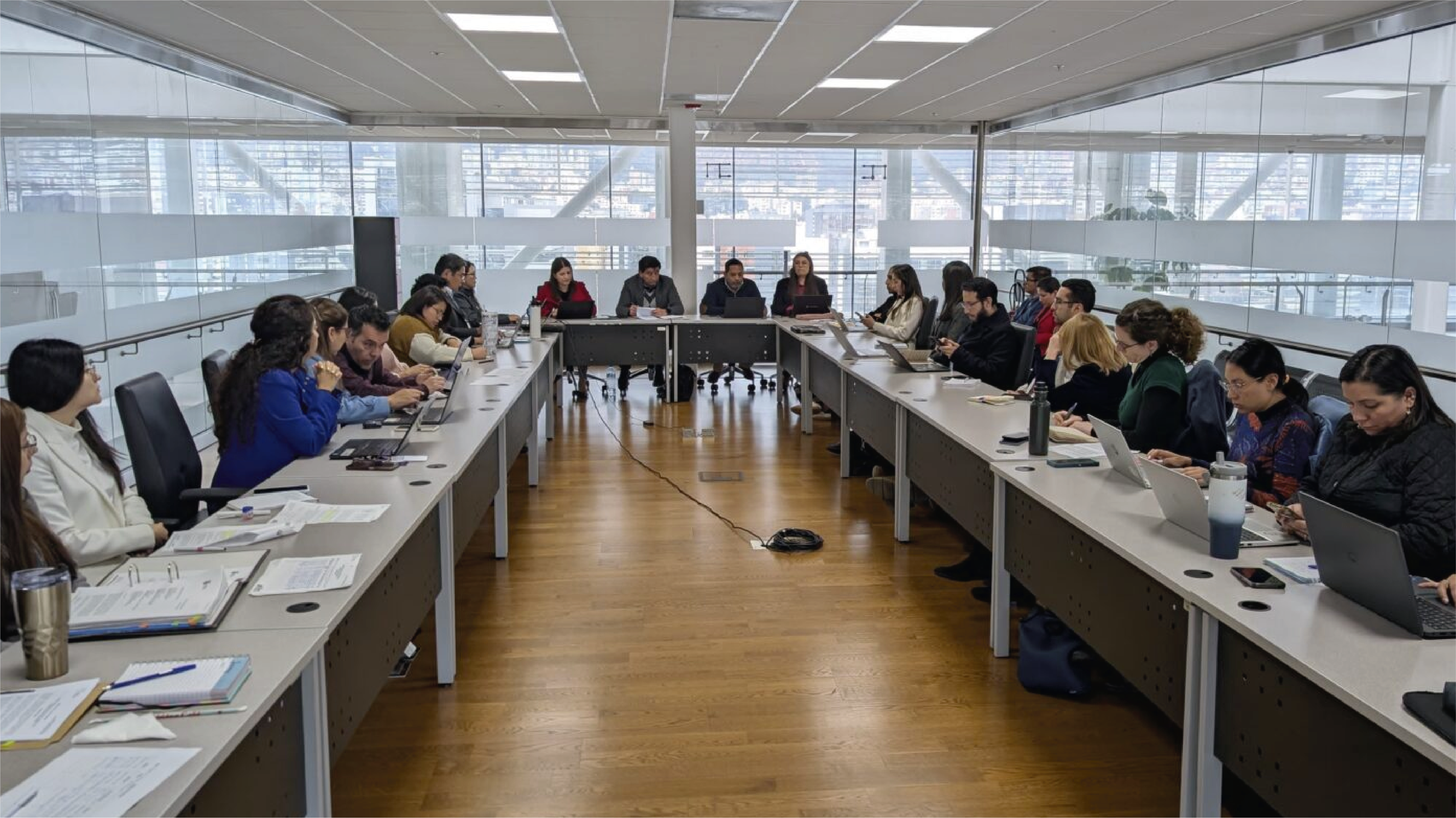 Comité Interinstitucional para la Producción y Comercialización Sostenible (CIPCS).
